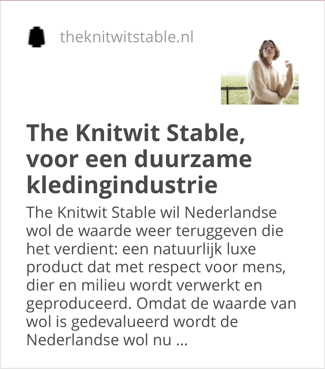 https://theknitwitstable.nl